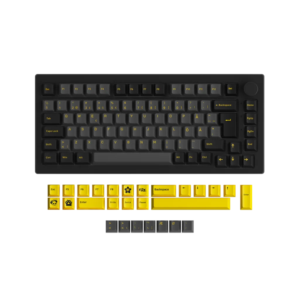 Black & Gold 5075S ISO