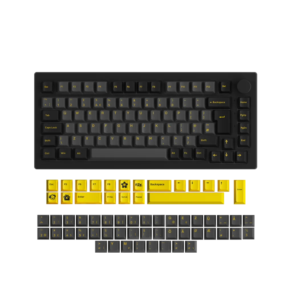 Black & Gold 5075S ISO