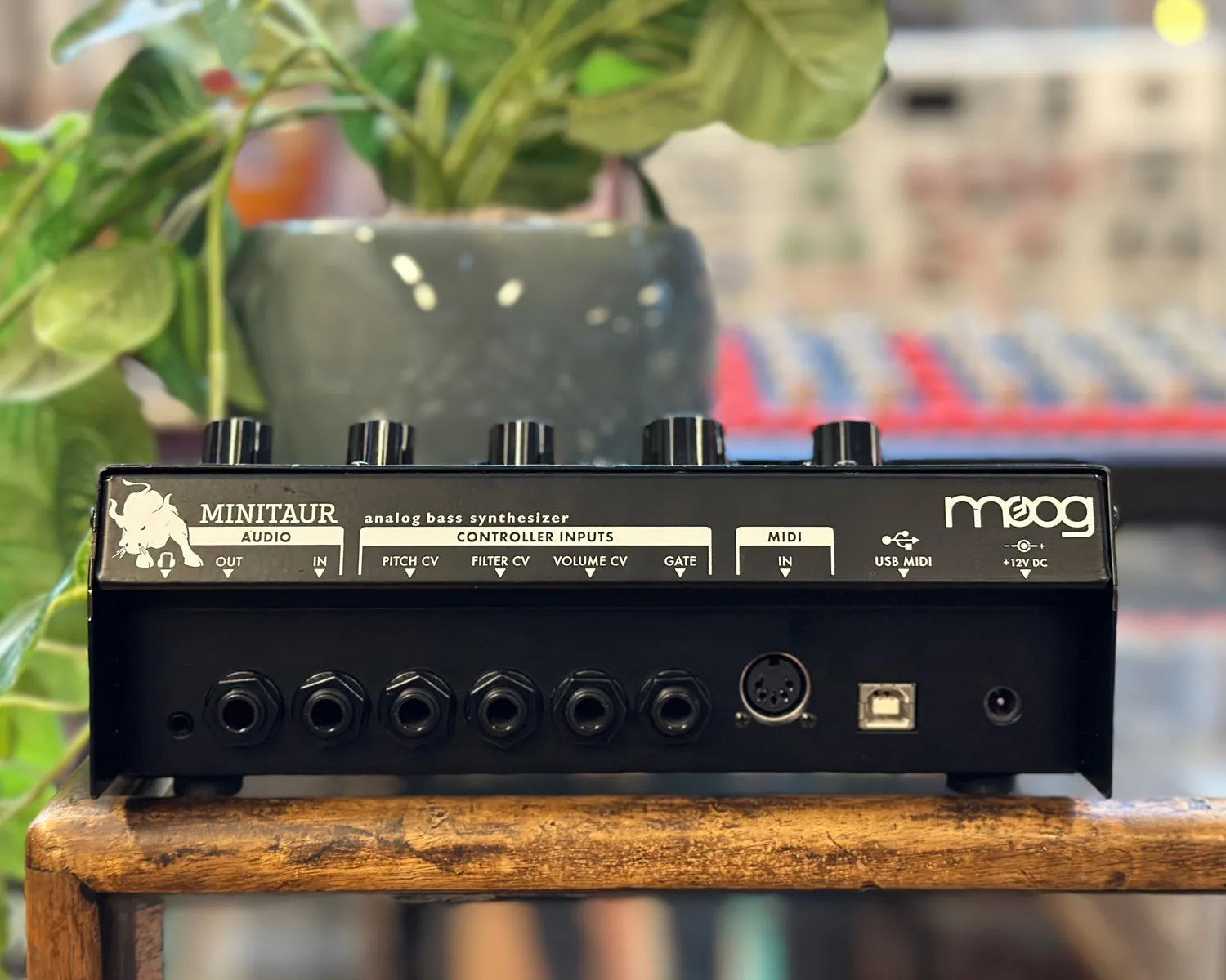 Moog Minitaur Bass Synthesizer